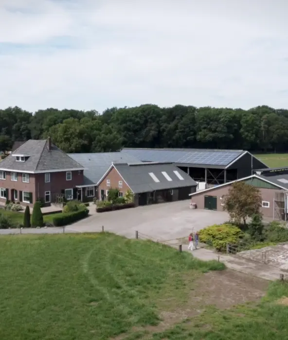 achtergrond afbeelding