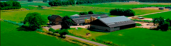 nieuwbriefbanner gif