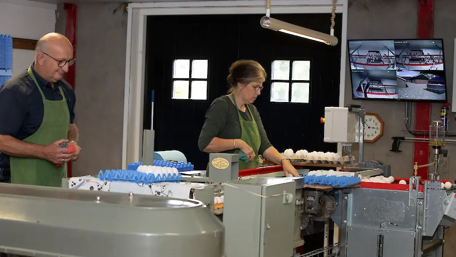 Pluimveehouders eieren