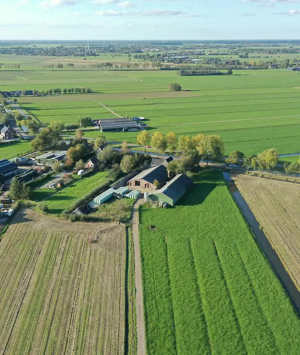 achtergrond afbeelding