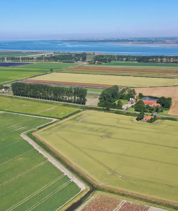 achtergrond afbeelding