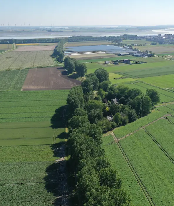achtergrond afbeelding