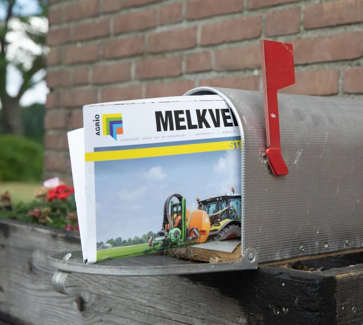 Melkvee