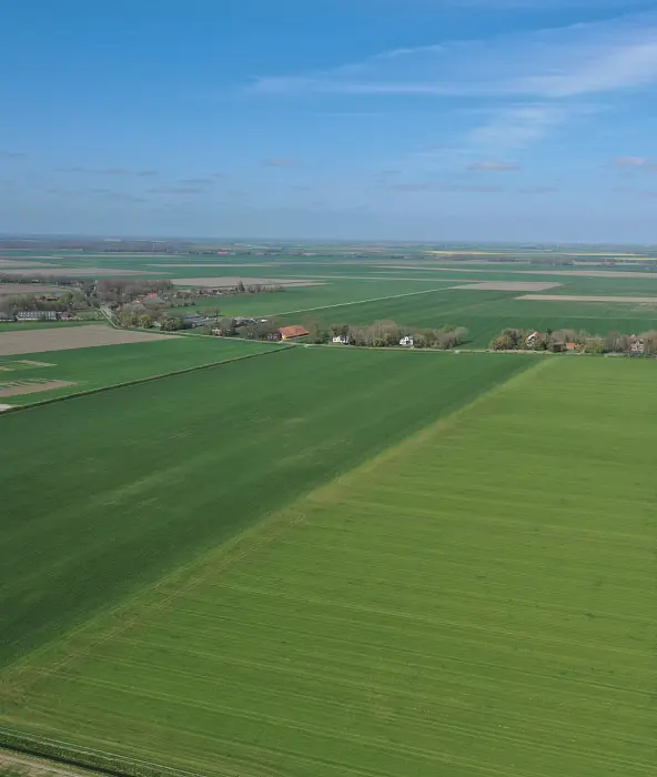 achtergrond afbeelding