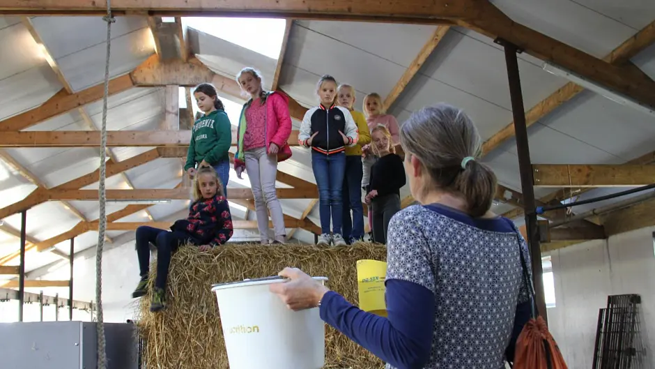 Spel kinderfeestje op de boerderij met Geertje