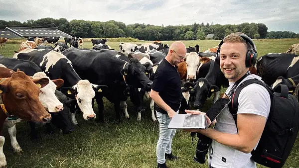 Video producent Quinton tussen de koeien