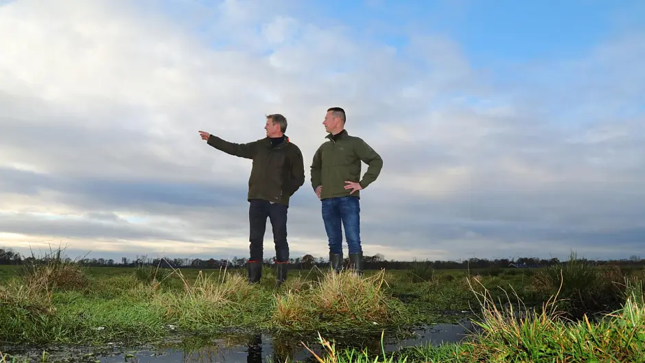 Kennispartner Onze Weidevogels